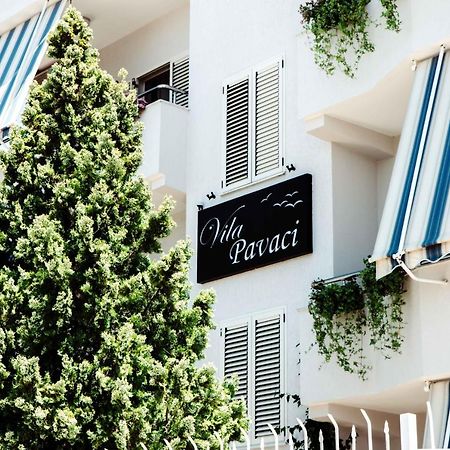 Apartments Vila Pavaci Velipojë Eksteriør billede